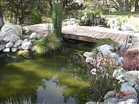 CIMG0050.JPG